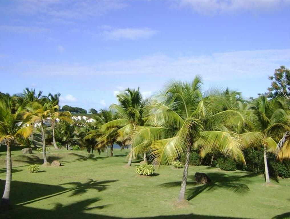 Rio Mar Village - Golf Course View Río Grande Extérieur photo